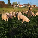 Dorfhof Bauer *