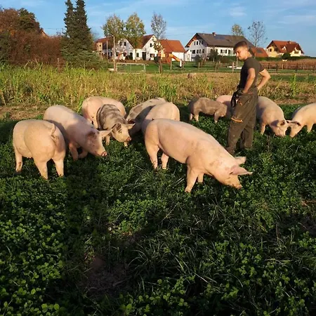 Dorfhof Bauer *