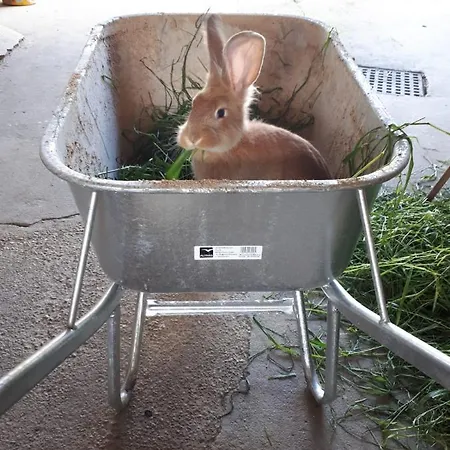 Appartamento Dorfhof Bauer