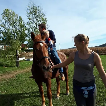 Appartamento Dorfhof Bauer Riegersburg