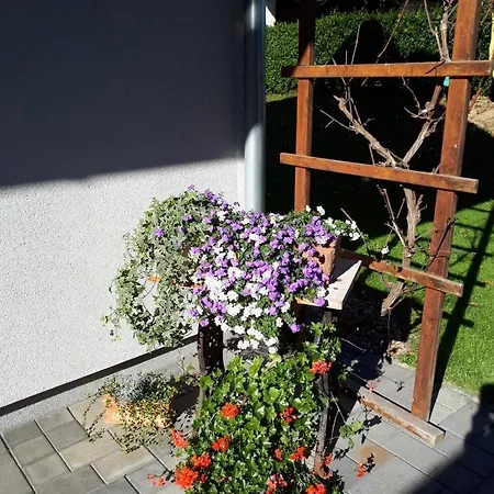 Dorfhof Bauer Riegersburg