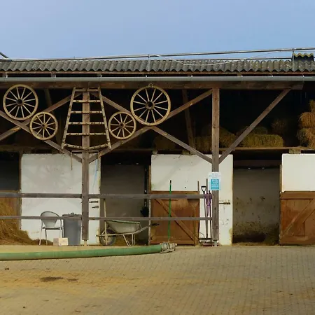 公寓 Dorfhof Bauer