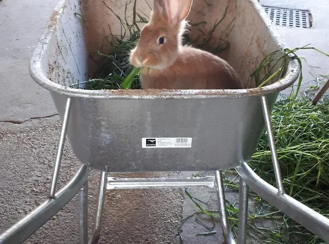 شقة Dorfhof Bauer