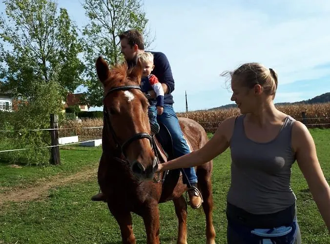 شقة Dorfhof Bauer ريغرسبورغ