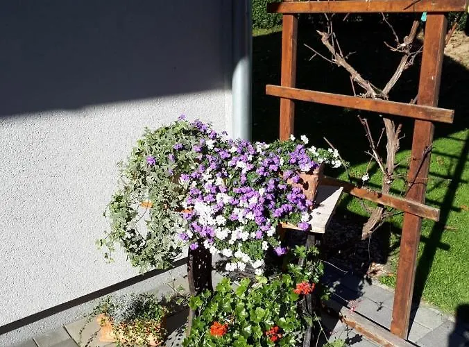 Dorfhof Bauer Riegersburg