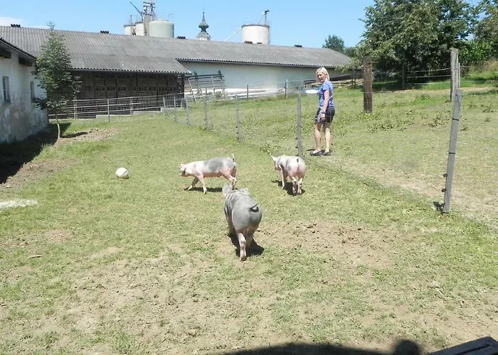 شقة Dorfhof Bauer