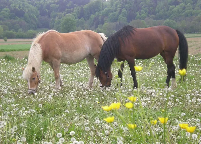 Dorfhof Bauer شقة